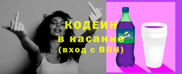 шишки Сосновка