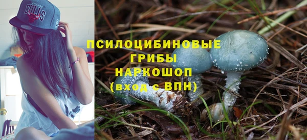 каннабис Горно-Алтайск