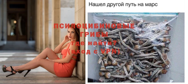 apvp Вяземский